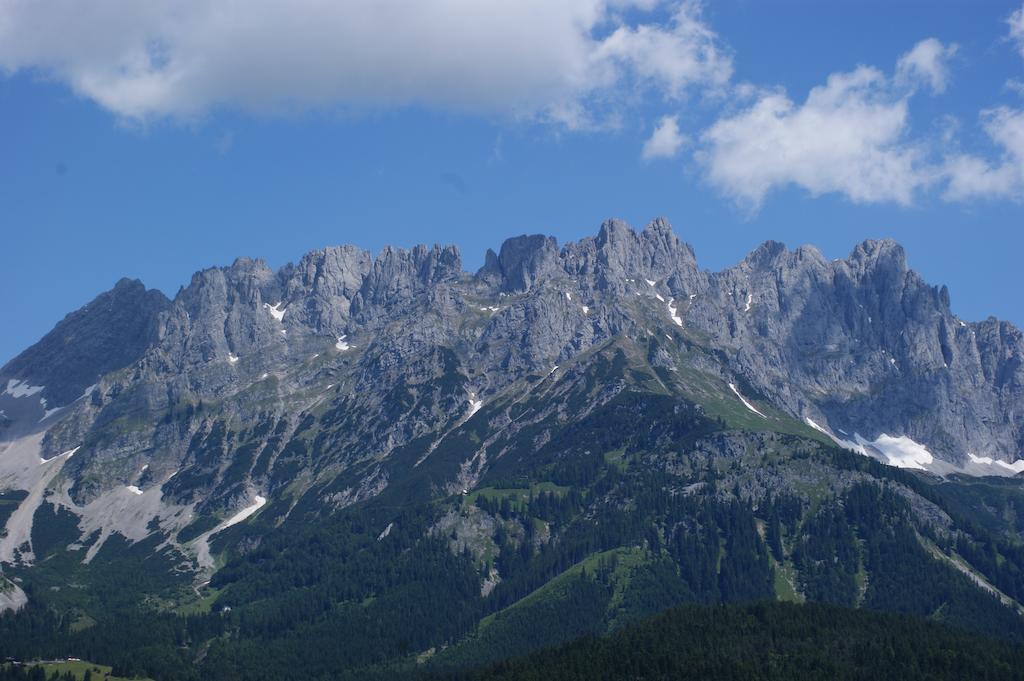 Apartment Steiner In Scheffau Scheffau am Wilden Kaiser